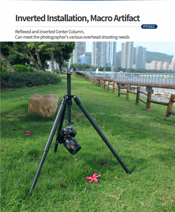 China Brand Labe Lightweight Compact Carbon Fiber Tripod with 360