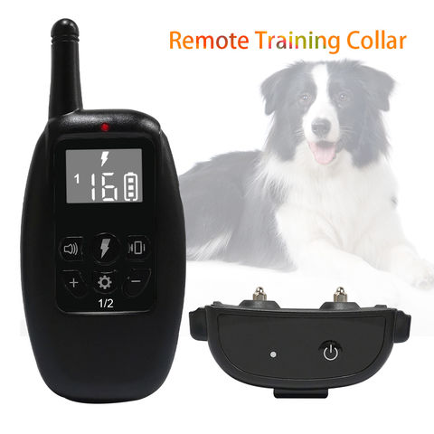 330y remote shop dog trainer