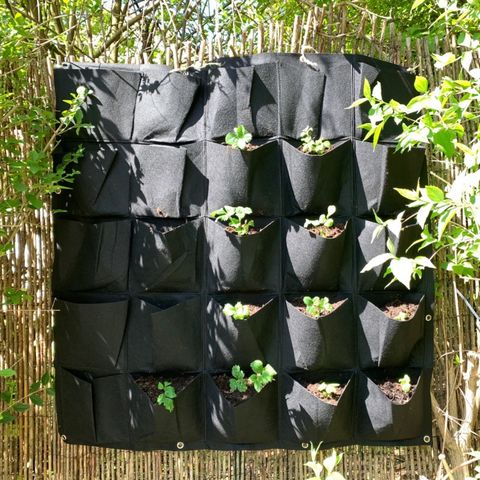 Plant Bags for sale