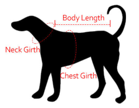 Factory Direct High Quality China Wholesale Brassiere Harness Dog - Main Image