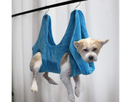 dog clothes to prevent scratching