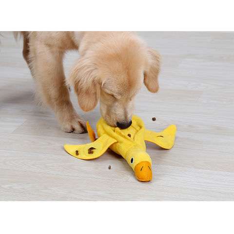 Buy Wholesale China Pet Toys New Design Training Snuffle Dog Toys