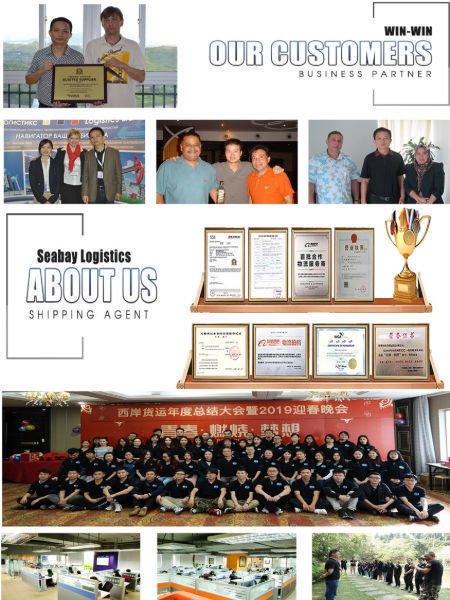 Best sea freight forwarder shipping agent to UK Germany Netherlands fast container from china supplier