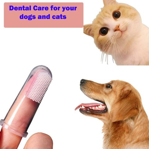 https://p.globalsources.com/IMAGES/PDT/B5200630658/pet-Toothbrush.jpg