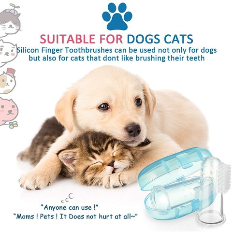 Dog Cat Cleaning Supplies Bad Breath Teeth Care Pet Toothbrush - China Pet  Toothbrush and Dog Supplies price