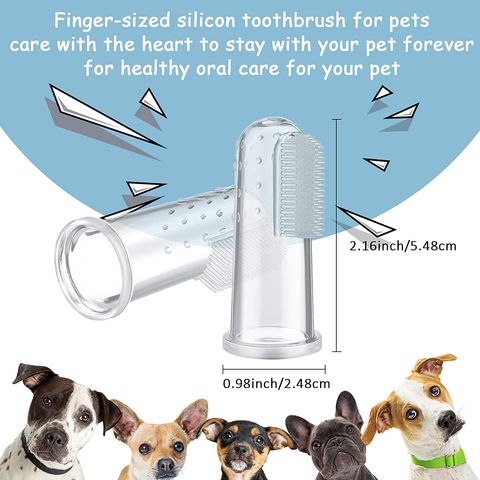 Dog Cat Cleaning Supplies Bad Breath Teeth Care Pet Toothbrush - China Pet  Toothbrush and Dog Supplies price