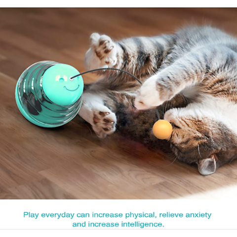 Pet Supplies : Cat Interactive Treat Dispenser Toy - Pet Slow