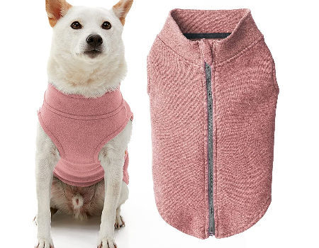 warm dog clothes