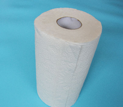 Factory Supply Disposable Biodegradable Kitchen Paper Towels Rolls  Waterproof Wall Paper - China Paper and Towel Paper price