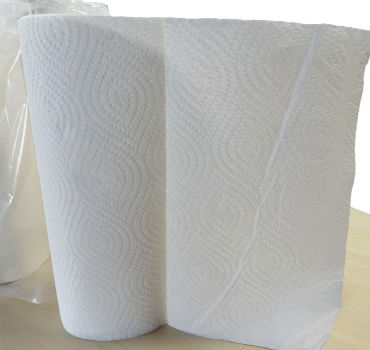 Factory Supply Disposable Biodegradable Kitchen Paper Towels Rolls  Waterproof Wall Paper - China Paper and Towel Paper price