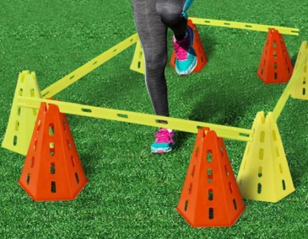 dog activity equipment