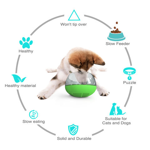 Pet Water Bowl  Know when to clean it for pet safety