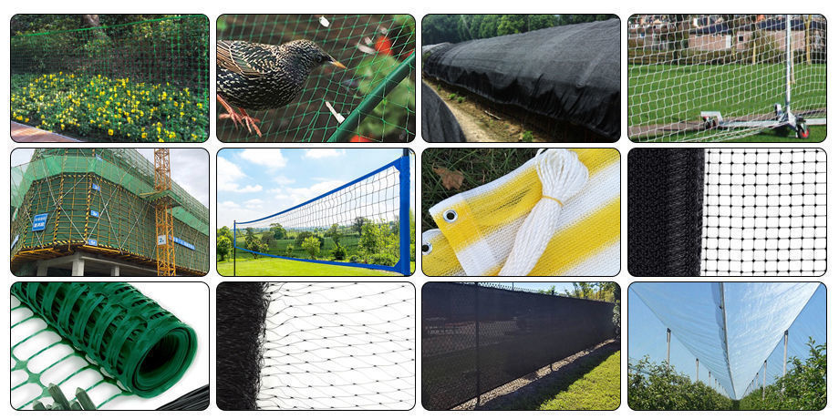 China Plastic net factory wholesale white plastic chicken fence net on ...