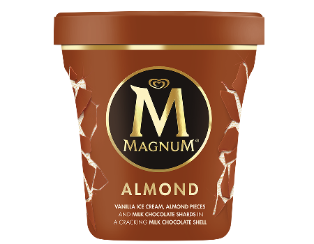 MAGNUM PINT BILLIONAIRE 440ml, Food & Beverage Dairy Ice Cream - Buy ...