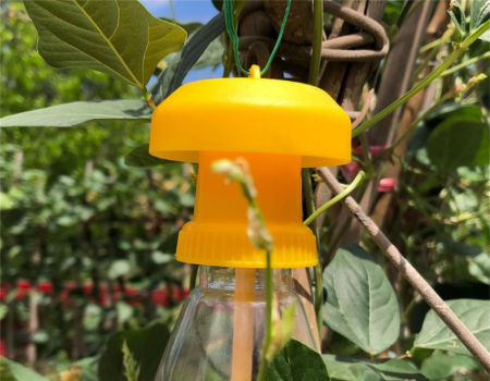 China Fly Wasp Trap Fruit Flies Insect Bug Hanging Tree Honey Catcher ...