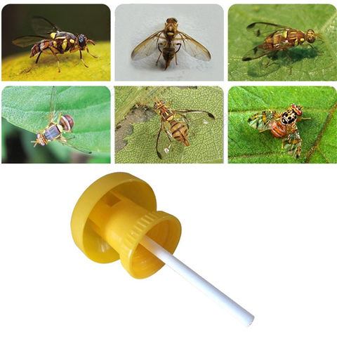 China Fly Wasp Trap Fruit Flies Insect Bug Hanging Tree Honey Catcher ...