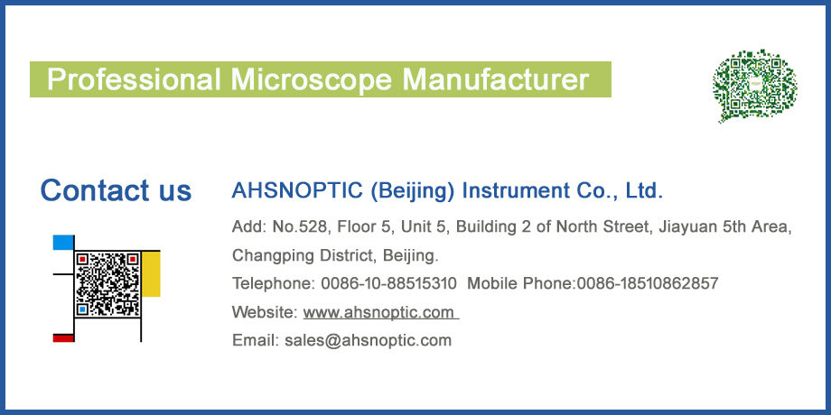 Achetez en gros Microscope Binoculaire Biologique Microscope Optique  Composé Chine et Fabricants De Microscope Optique Composé à 328 USD