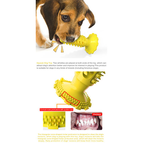 Shop for Upgraded Dog Chew Toy Molar Bite Interactive Dog Toys Suction Cup  Dog Toy at Wholesale Price on