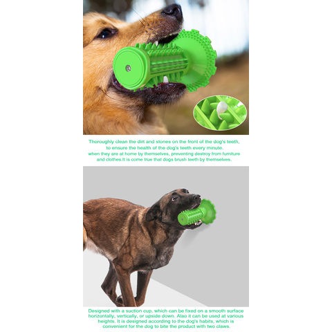 Wholesale Color Dog Interactive Chew Toy Hard TPR Tooth Cleaning Pet Dog  Toys - China Pet Toy and TPR Dog Toy price