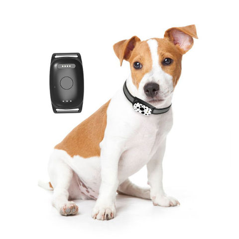 Microchip gps tracker for cheap dogs