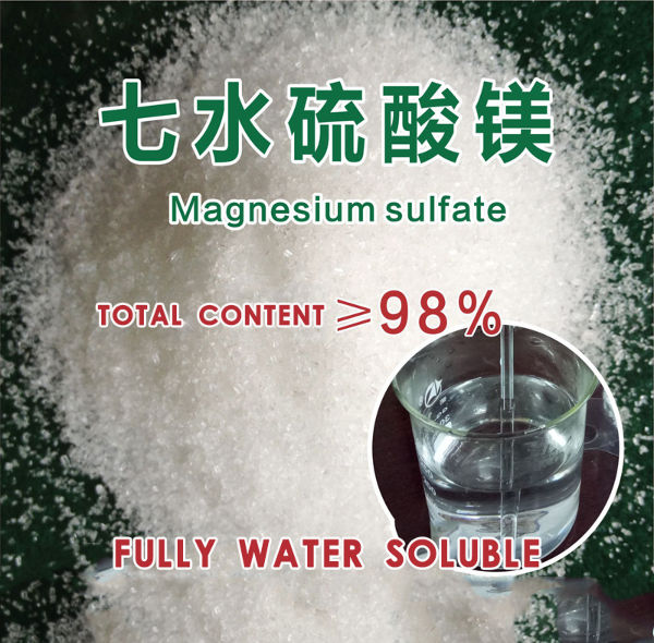 China Magnesium sulfate watersoluble fertilizer for vegetable and