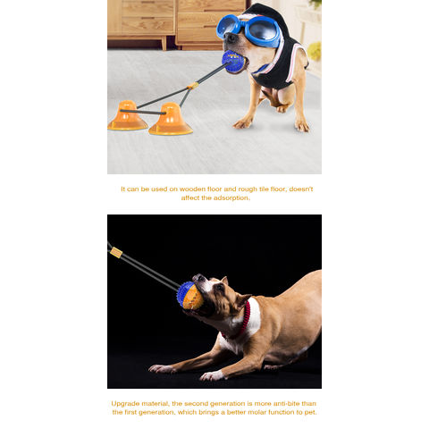 24 Wholesale Suction Cup Dog Chew With Ball And Rope - at 