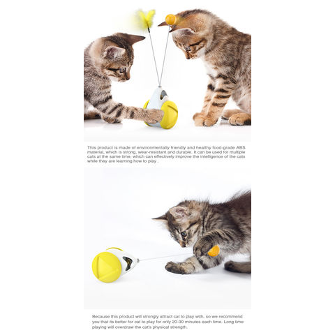 https://p.globalsources.com/IMAGES/PDT/B5205511230/cat-toy.jpg
