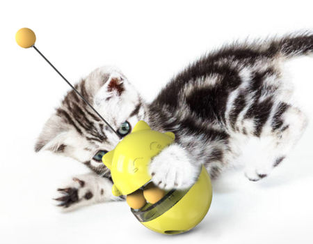 https://p.globalsources.com/IMAGES/PDT/B5205577228/cat-toy.jpg