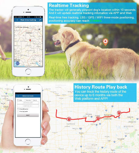 cell phone dog tracker