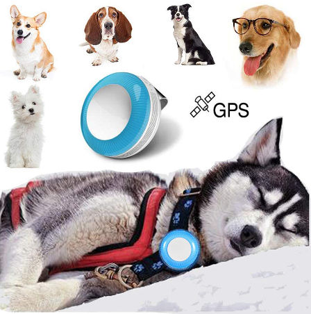 cell phone dog tracker