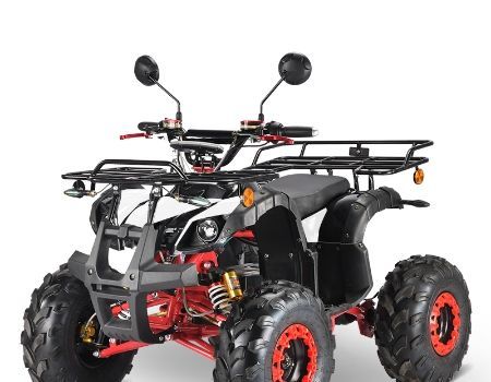 800w quad bike