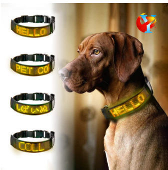 monogrammed pet collars