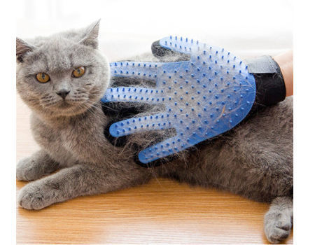 glove to brush cat with