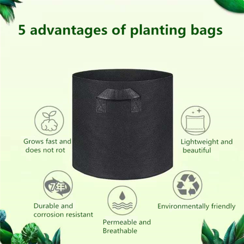 https://p.globalsources.com/IMAGES/PDT/B5208216841/black-Grow-bag.png