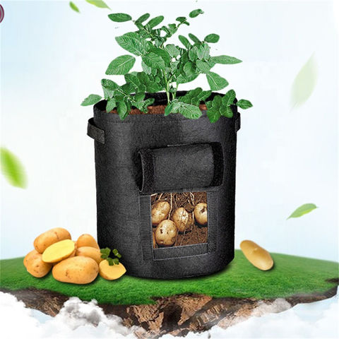 1pc Non-woven Fabric Potato Grow Bag, Minimalist Black Grow Bag