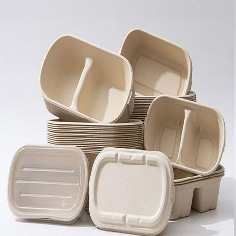 Buy Wholesale China Eco Food Containers 5 Compartment Plastic Foam Disposable  Plates Lunch Tray & Lunch Box at USD 0.0013