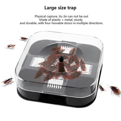 China Kitchen Household Large Cockroach Traps Cockroach Trap ...