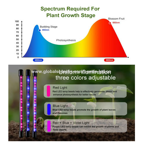 Acheter LED élèvent la lumière spectre complet Phyto poussent la lampe USB  Phytolamp pour les plantes 5V lampe pour l'éclairage de croissance des plantes  pour les plantes d'intérieur