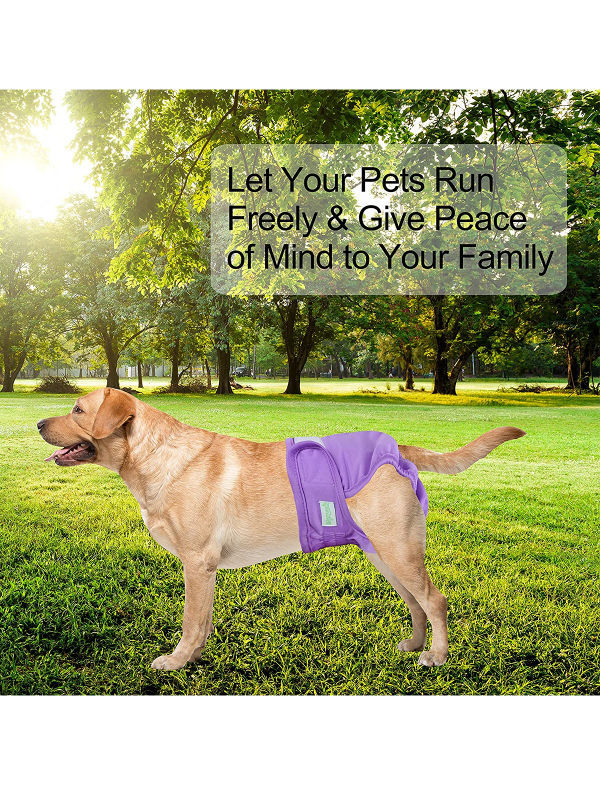 China New Design Dog Belly Wrap Dogs Diapers Breathable Female Girl Pet