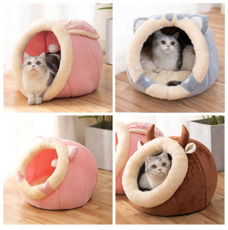 cute kitten beds
