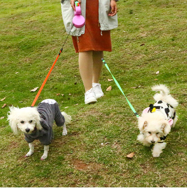 double retractable leashes for dogs