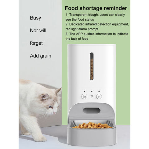 China Factory Direct OEM ODM Interactive Cat Feeder, Play Toy Set