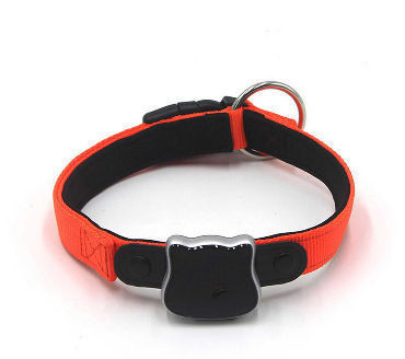 cat smart collar