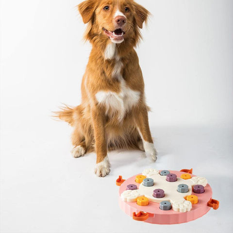 Buy Wholesale China Homyl Pet Dog Food Puzzle, Dog Brain Games