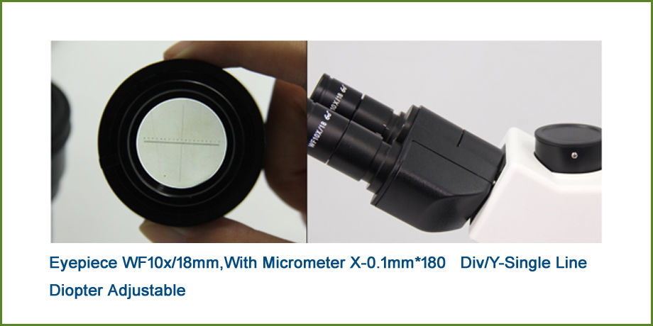 Microscopes prices trinocular polarized light microscope for double ...