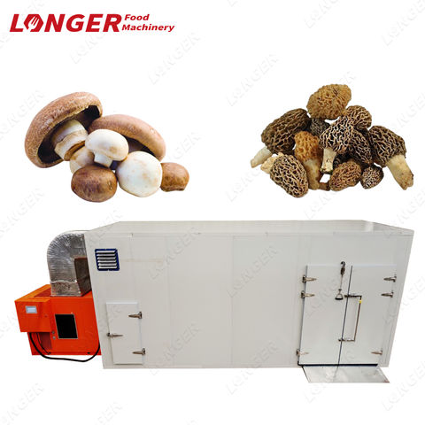 Mushroom Dehydrator Dryer Mirco Food Mini Stainless Steel - Buy Mushroom  Dehydrator Dryer,Mirco Food Dehydrator,Mini Food Dehydrator Stainless Steel