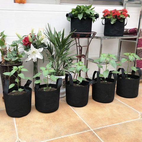 20 Pack 1 Gallon Grow Bags Bulk Small Aeration Fabric Pots Thickened  Nonwoven Grow Pots Heavy Duty Planting Bags for Garden Outdoor Vegetables  Flowers