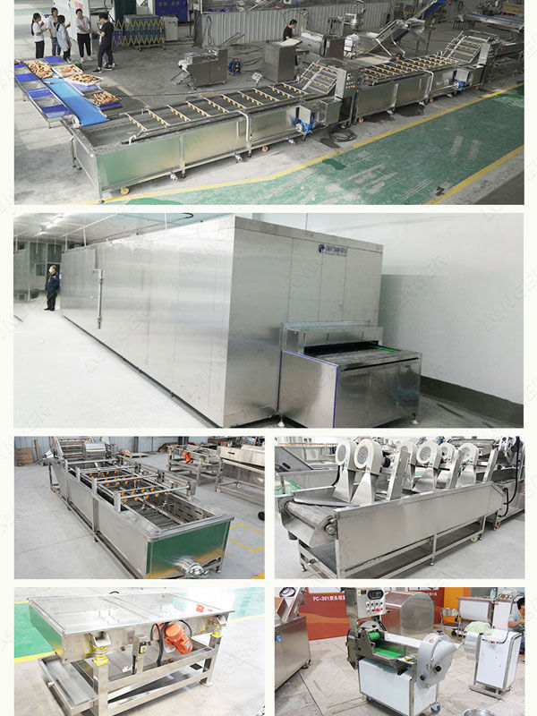 China Frozen Green Peas Processing Plant IQF Tunnesl Freezer Green Peas