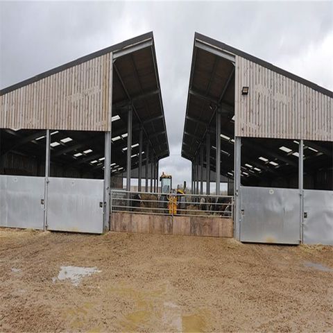 China Prefab cow dairy farm housing steel building Cattle Cow shed ...