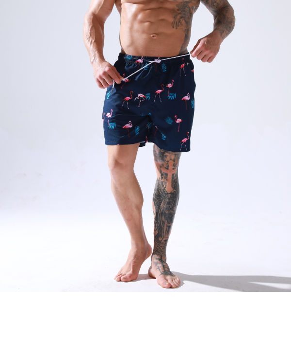 Short de bain hollister homme hot sale